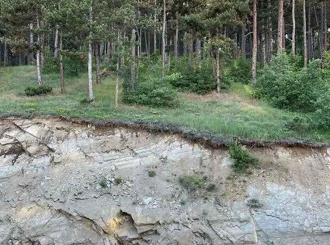 ванеса ולינגראד